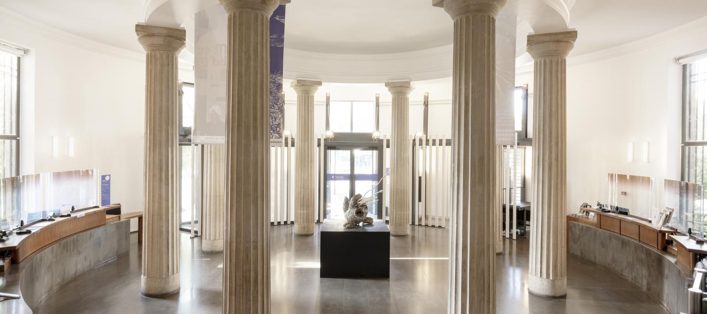 Photo du hall d'entrée du musée Guimet