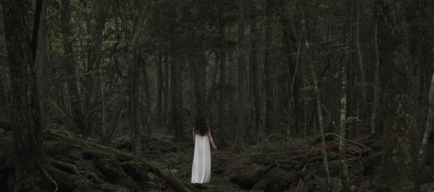 Photographie d'une figure féminine vêtue de blanc dans une forêt intitulée  Hakanai Sonzai #1 par Pierre-Elie de Pibrac