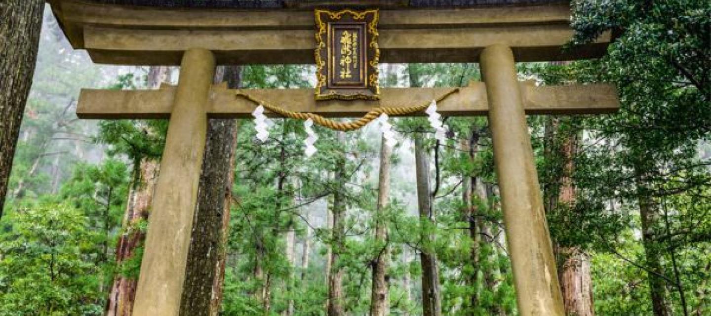 Torii