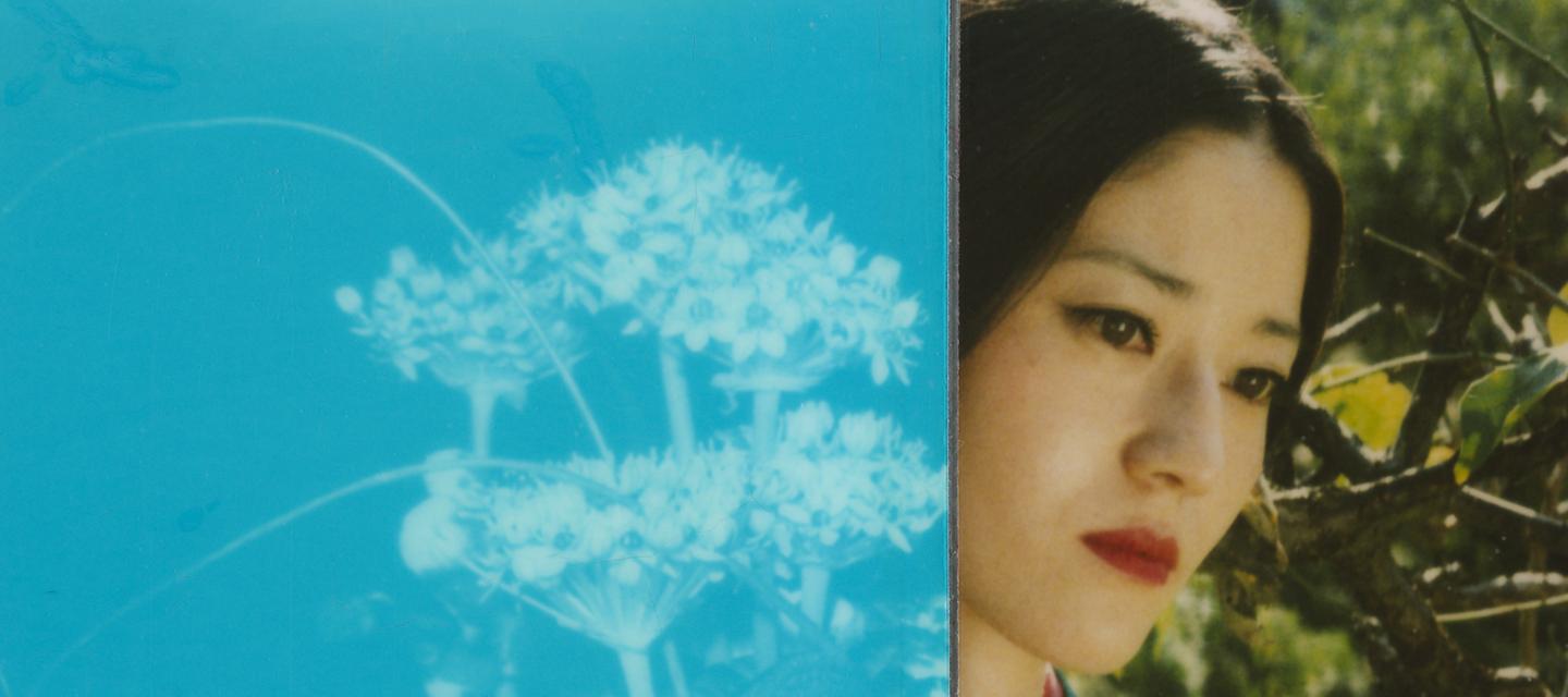 POLARAKI - Thousand polaroids by Araki Nobuyoshi | Musée Guimet