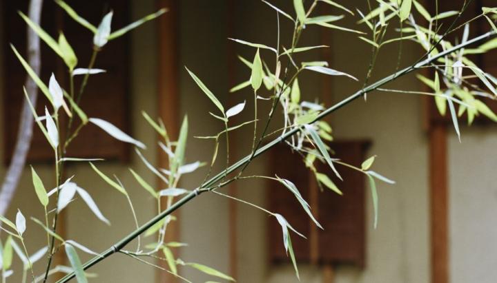 Image du pavillon de thé japonais du musée Guimet