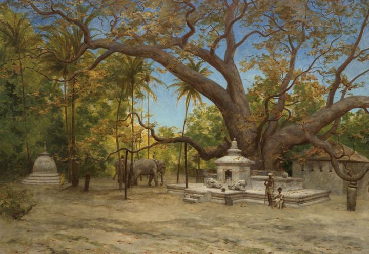 Arbre du Bouddha Sakyamuni à Kandy, par Félix Régamey (1844-1907)