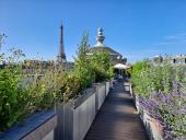 Image de la terrasse végétalisée du musée Guimet