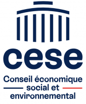 Conseil économique social et environnemental