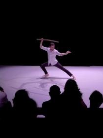 Image représentant une démonstration d'arts martiaux 
