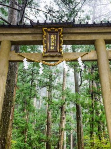 Torii