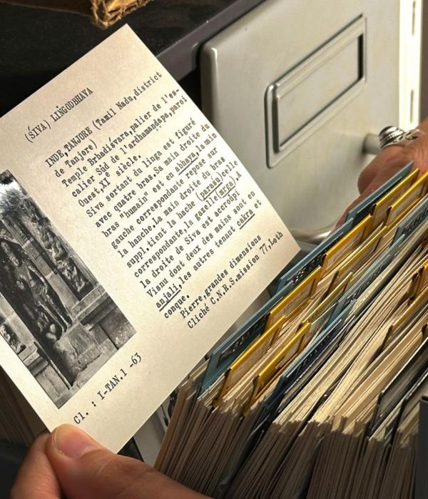 Images de recherches 