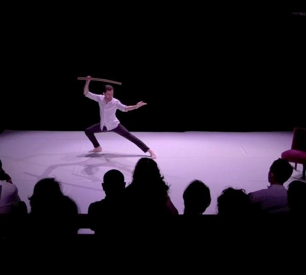 Image représentant une démonstration d'arts martiaux 