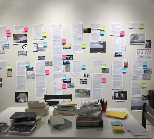 photo Fukushina Reprises V.11