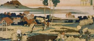 bannière collection japonaise