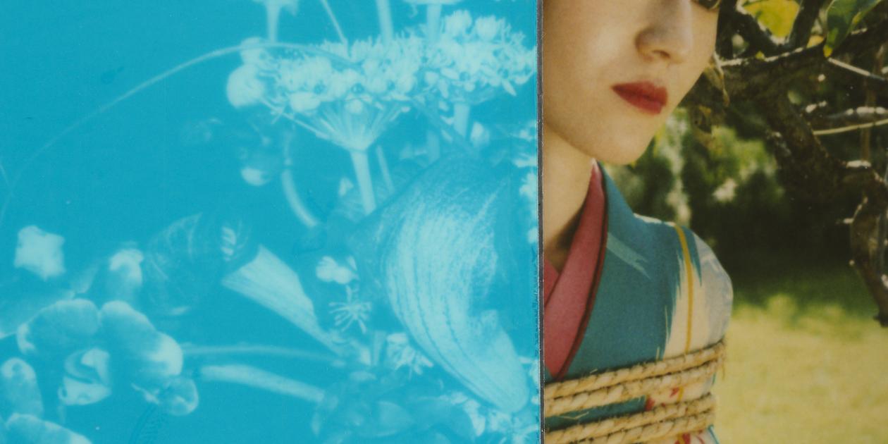 POLARAKI - Thousand polaroids by Araki Nobuyoshi | Musée Guimet